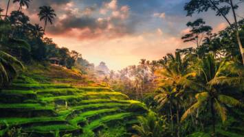 View Cruise2026 All-Inclusive Australia & Indonesia Ft. Sentosa IslandDeal