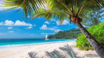 View CruiseWestern Caribbean & Perfect DayDeal