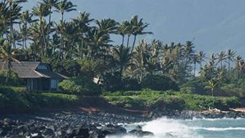 View CruisePacific Coastal & Circle Hawaii CollectorDeal