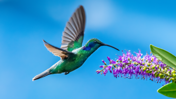 View Cruise2026 Ultra-Luxury All-Inclusive South America, Ft Panama CanalDeal