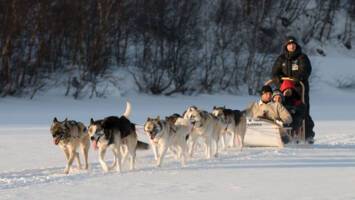 View Cruise2027 Northern Lights, Finland to Norway Ft. LaplandDeal