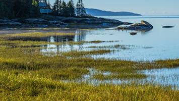 View CruiseIceland, Greenland & Canada Cruise: Reykjavik, Qaqortoq & Quebec City Deal