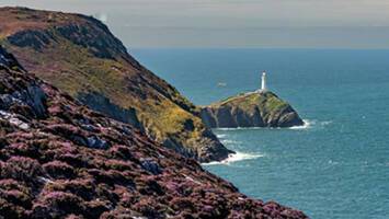 View CruiseLondon to LondonDeal