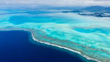 View CruiseSouth Pacific IslandsDeal