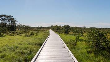 View CruisePacific Passage & Japan's Hidden GemsDeal