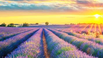 View Cruise5★ Maiden 2027 Italy, Croatia & ProvenceDeal