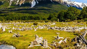 View CruiseThe Great White ContinentDeal