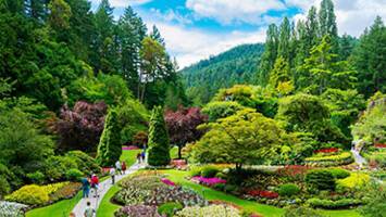 View CruisePacific CoastalDeal