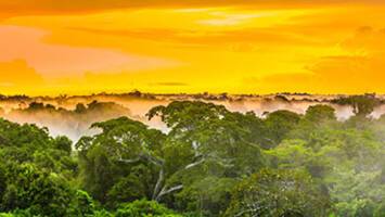 View CruisePeruvian Amazon & Machu Picchu ExplorationDeal