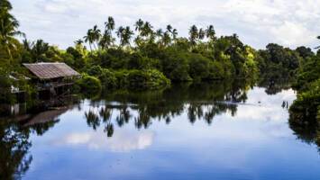 View CruiseHong Kong to SingaporeDeal