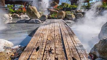 View CruiseSpring Circumnavigation Of JapanDeal