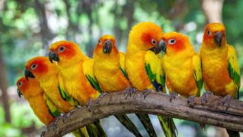 View Cruise6★ All-Inclusive 2027 Panama Canal & Amazon DiscoveryDeal