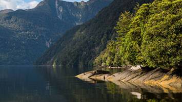 View Cruise9 Night New Zealand CruiseDeal