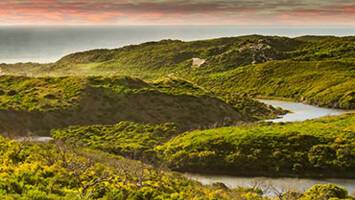 View CruiseAustralia & Bali Cruise: Sydney, Kangaroo Island & SingaporeDeal