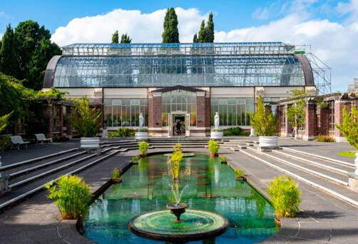 Auckland Domain Wintergardens