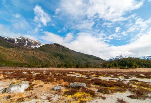 Ainsworth Bay, Tucker Islet