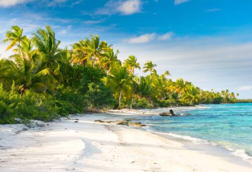 Cruises around the French Polynesia