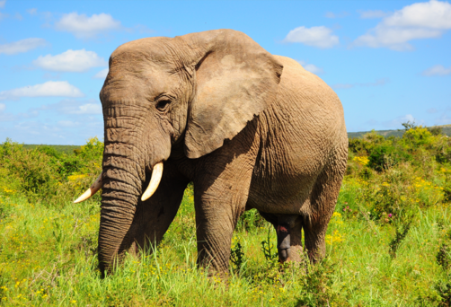 Cape Town, South Africa