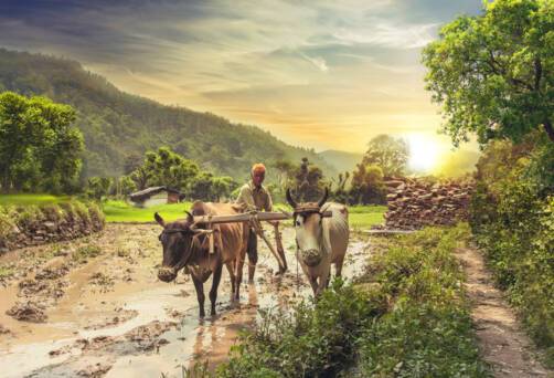 Haryana
