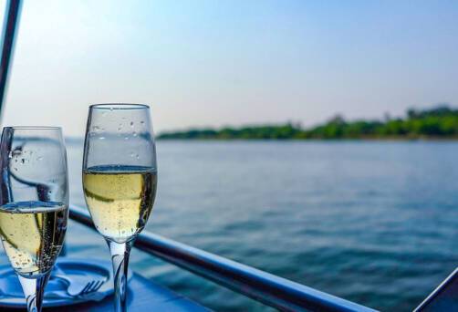 Cruise the Moselle Valley