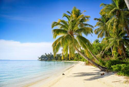Wewak, Papua New Guinea