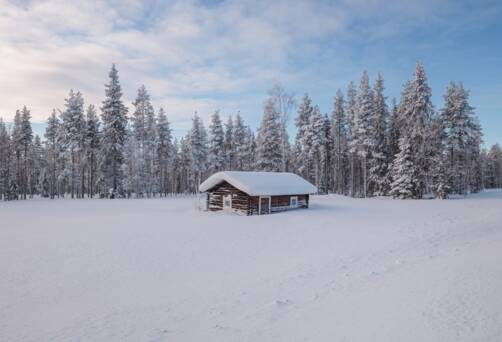 Arctic wilderness Finland
