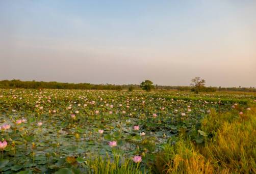 Kampong Tralach, Cambodia