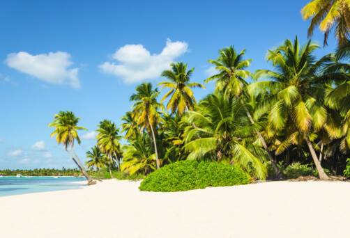 Bartolomé, Island of Santiago