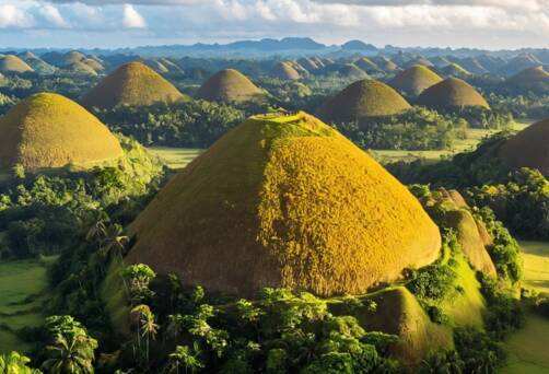 Chocolate Hills
