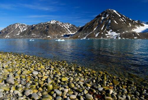 Magdalenefjord