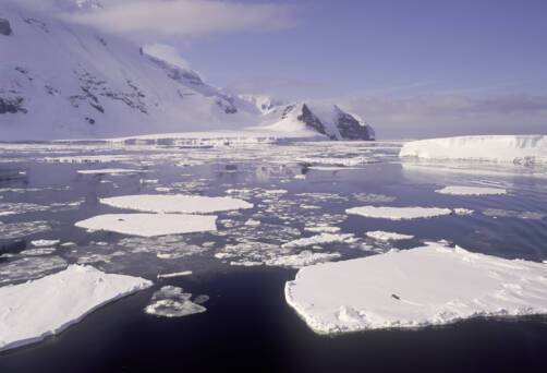 Balleny Islands, New Zealand, Antarctica