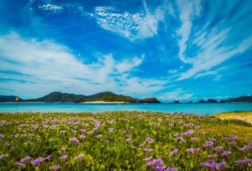 Zamami Island, Japan