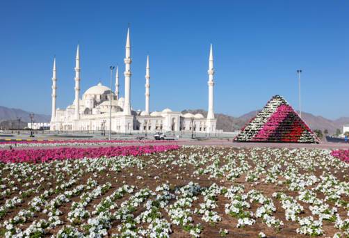 Cruises to the Middle East