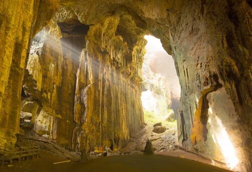 Gomantong Cave