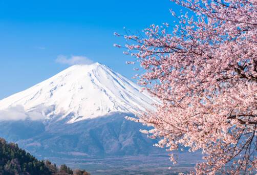 Mount Fuji