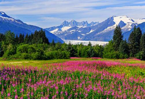 A panoramic view of Juneau