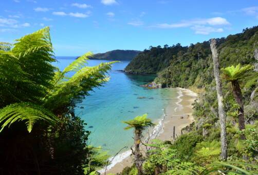 Stewart Island, New Zealand