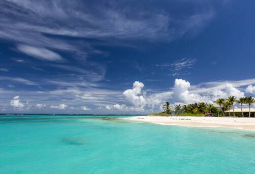 Spanish Town / Prickly Pear