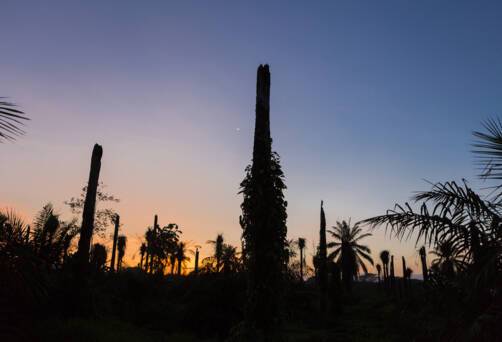 Cruises to Costa Rica