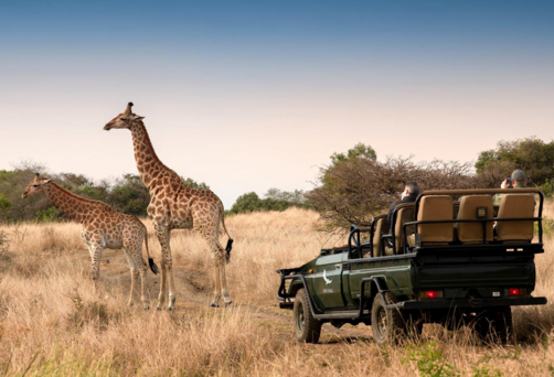 Cape Town, South Africa ★Game Drive Excursion★
