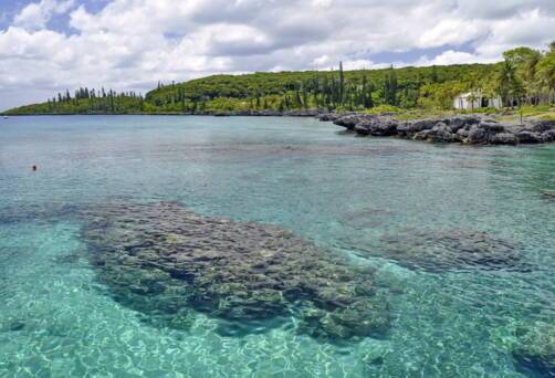 Tadine, New Caledonia