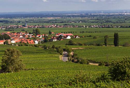 A panoramic view of Roth