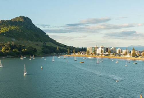 A panoramic view of Tauranga