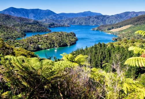 Queen Charlotte Sound
