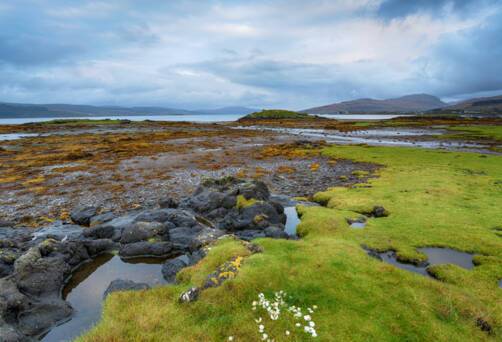 Sound of Mull, Scotland