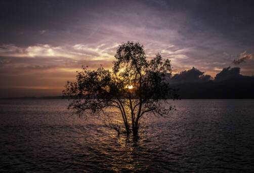 Larantuka, Indonesia