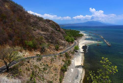 Ende, Flores