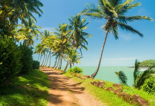 Ile Royale, French Guiana