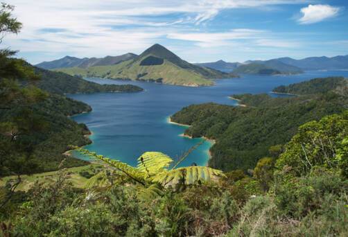 Marlborough Sound