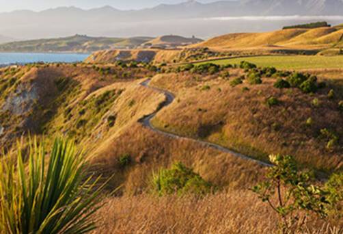 Golden sunset over Kaikoura